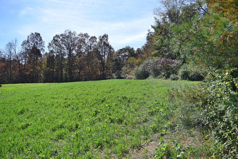 Dsc 0336 food plot 3 final