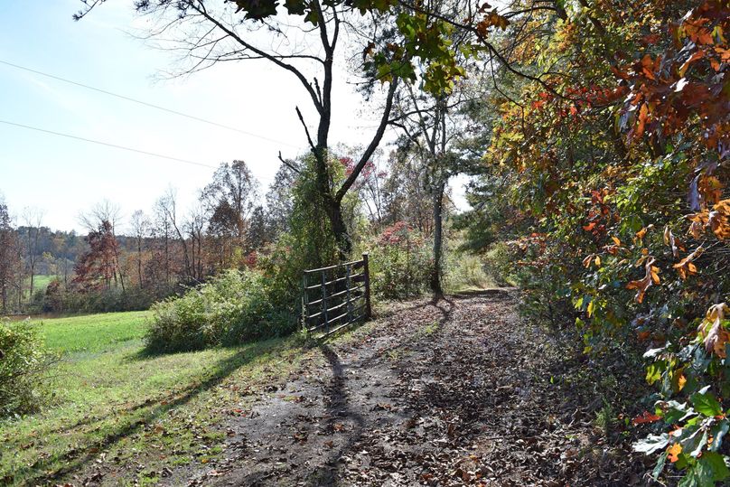 Dsc 0351 trail 1 final