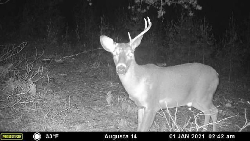 Image637464837887990502