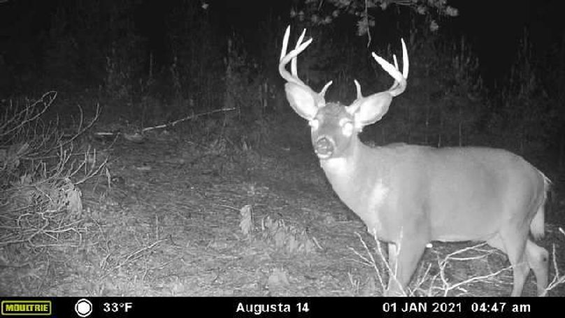 Image637464838107558303