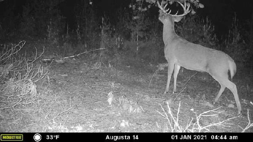 Image637464838251698224