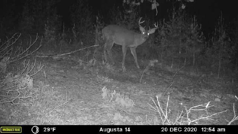 Image637464838482665945