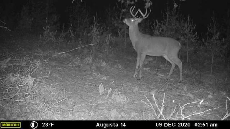 Image637464838740528536