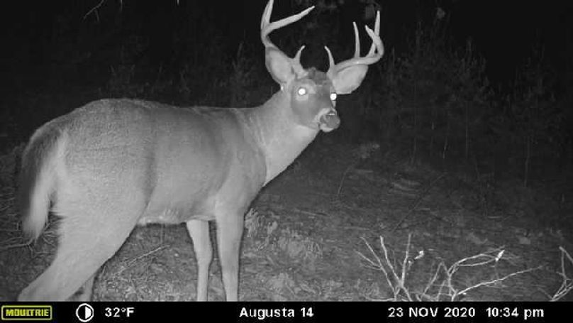 Image637464839176099457