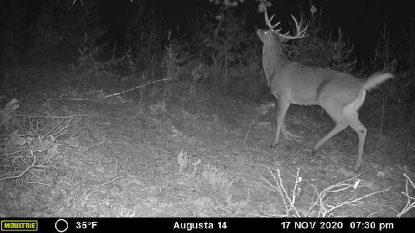 Image637464839904060628