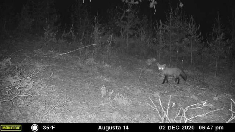 Image637432717552511891