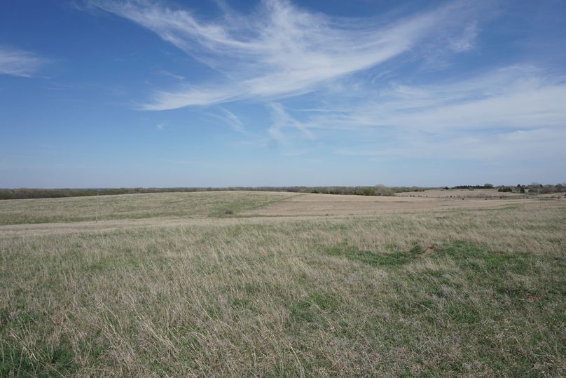 Copy of center of pasture looking east