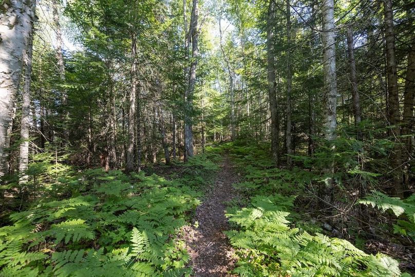 Mackinac 320 Copenhaver-56