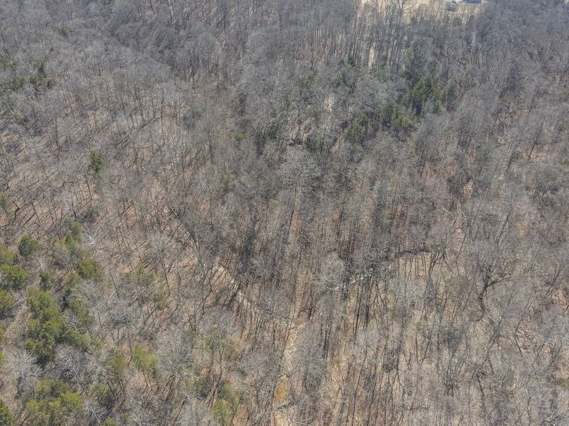 2-DJI_20260228135251_0007_W