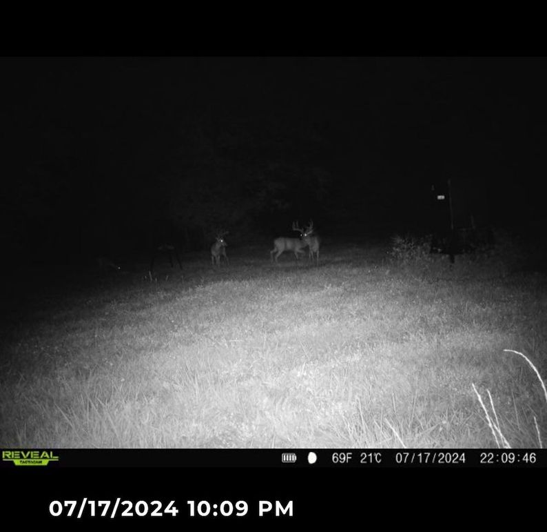 Trail Cam 2