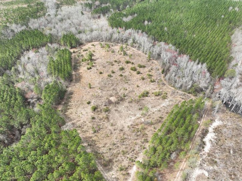 dji_fly_20240227_124518_127_1709056331709_photo