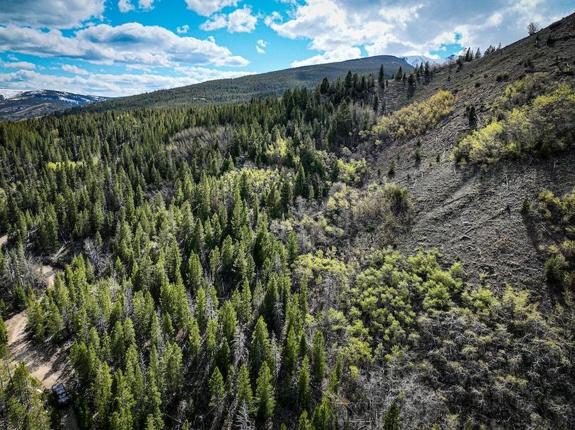 DJI_0232