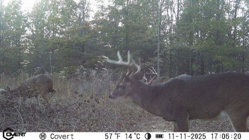 11_11_2025_17_06_20_3249053923