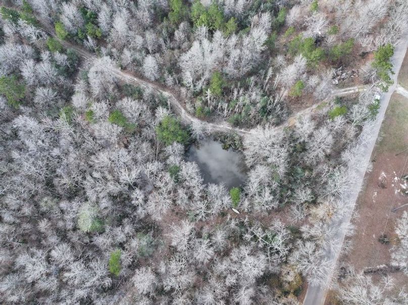 dji_fly_20260212_140342_0052_1771284244782_photo