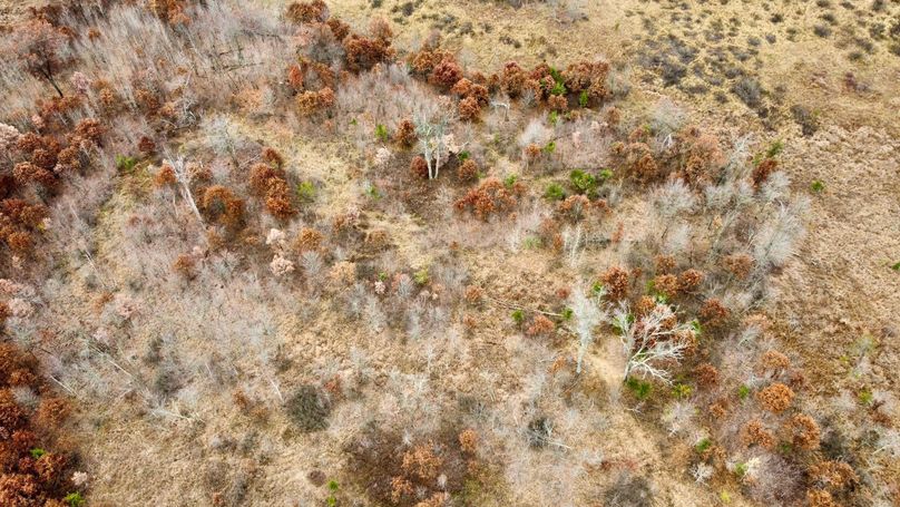 dji_fly_20231105_092722_752_1699198349265_photo_optimized 2