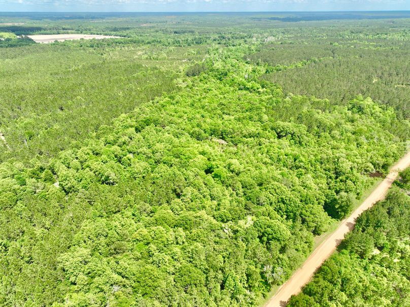 dji_fly_20230426_150534_314_1682536380909_photo