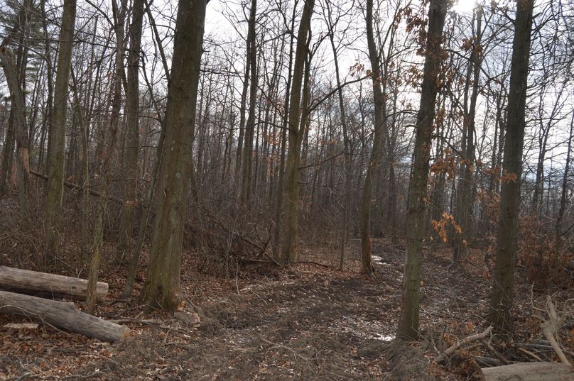 Main access road into property