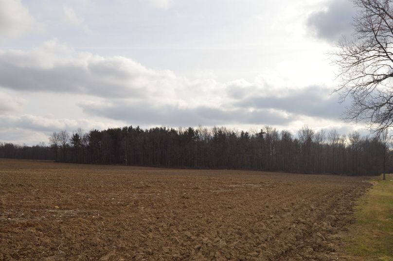 Access rd to property