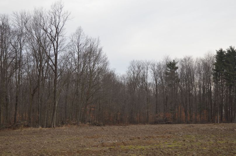 Inside corner on north line