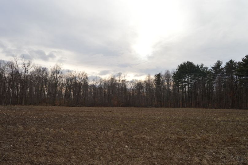 Looking at north corner from road