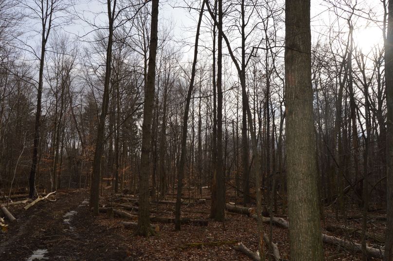 Looking onto sw corner