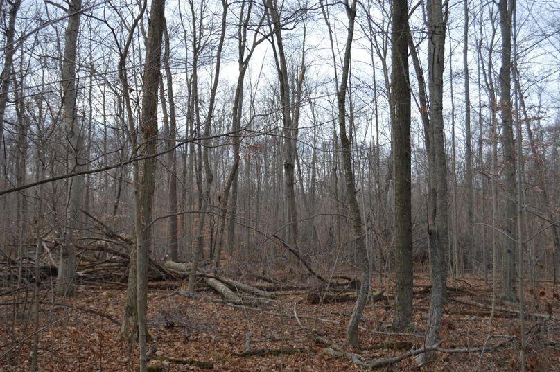 Looking west from  se corner