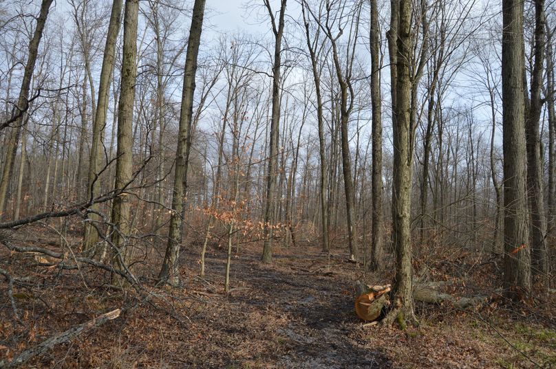 Trail along back side