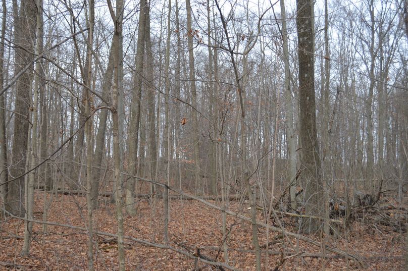 View looking north from center