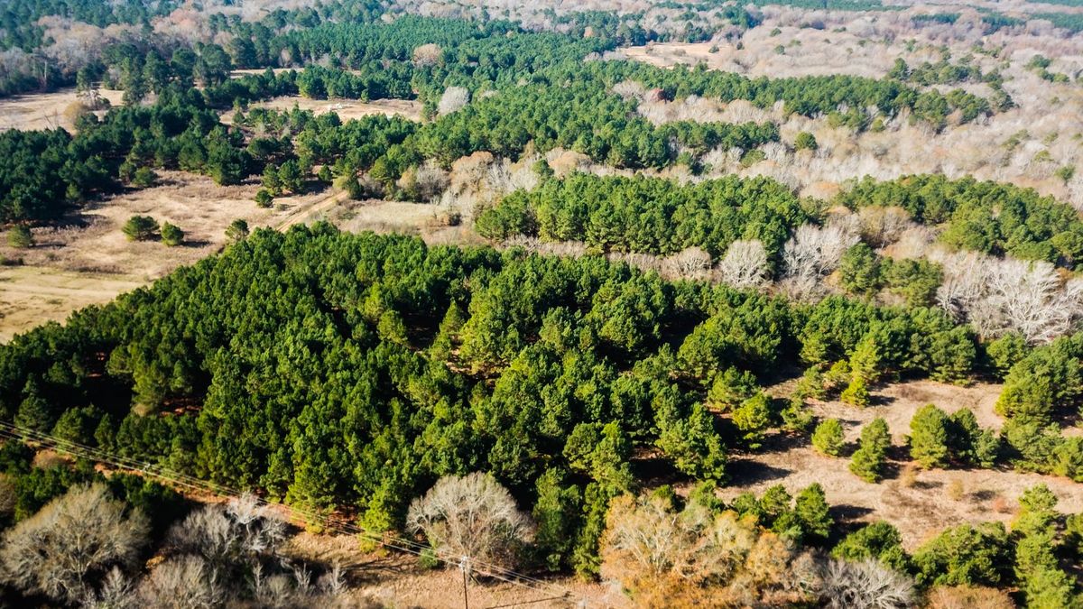 HomeSite/Recreational Property Near Lake Tyler Whitetail Properties