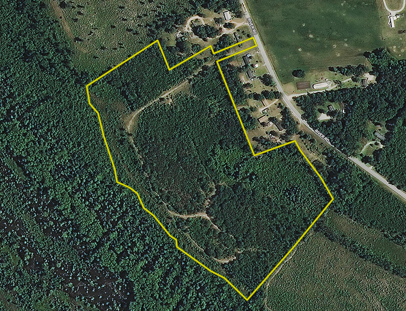 Screen shot 2020-12-17 at 10.06.03 am