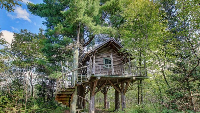 MTUgdGhlIGVhZ2xlcyBuZXN0