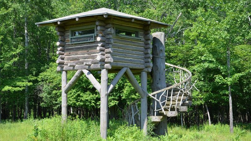 MTAgZWxldmF0ZWQgZGVlciBibGluZHM=