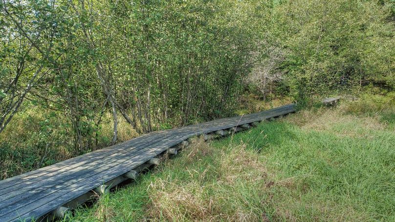 MjAgYm9hcmR3YWxrcyBhbmQgdHJhaWxzIHRocm91Z2hvdXQ=