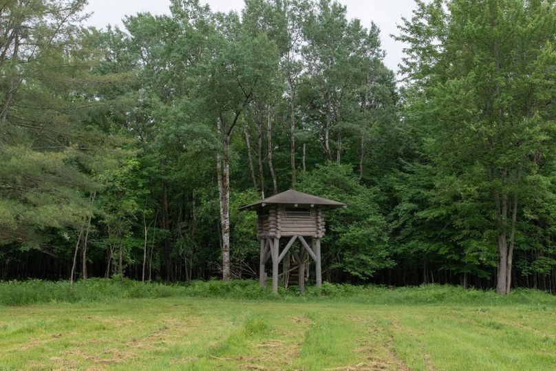 MzkgZWxldmF0ZWQgYmxpbmQ=