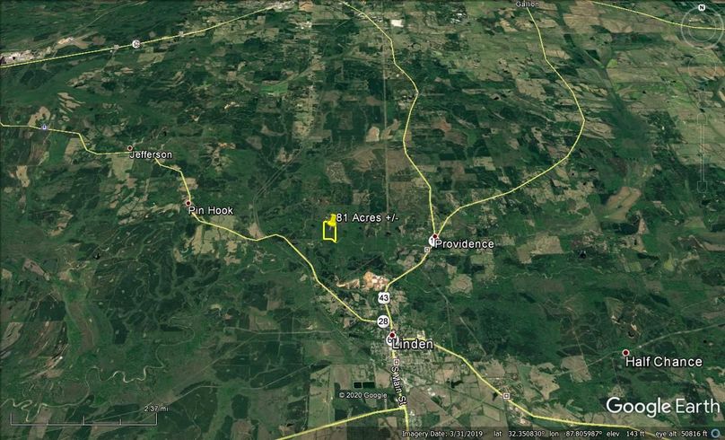 Aerial 7 approx. 81 acres marengo county, al