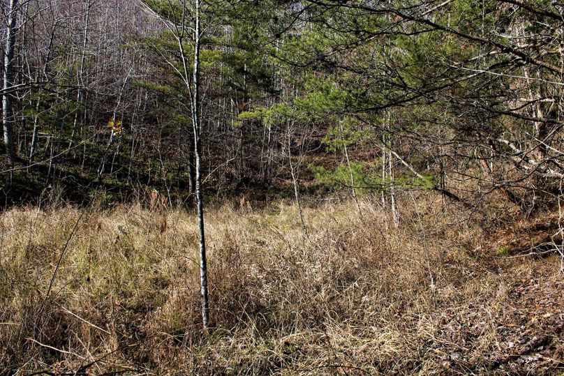 002 nice open area for potential house cabin seat