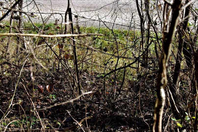 007 old fencing showing property boundaries