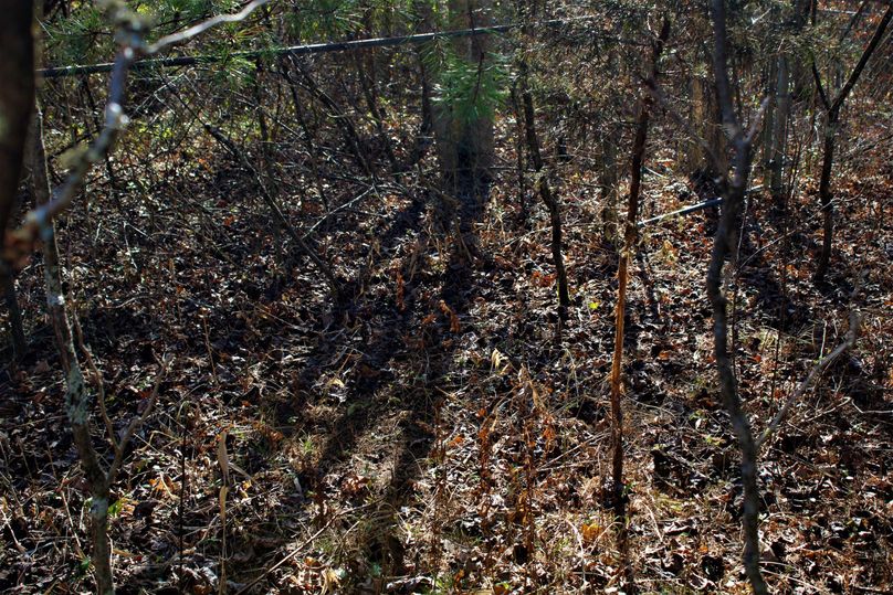 013 another one of many fresh rubs