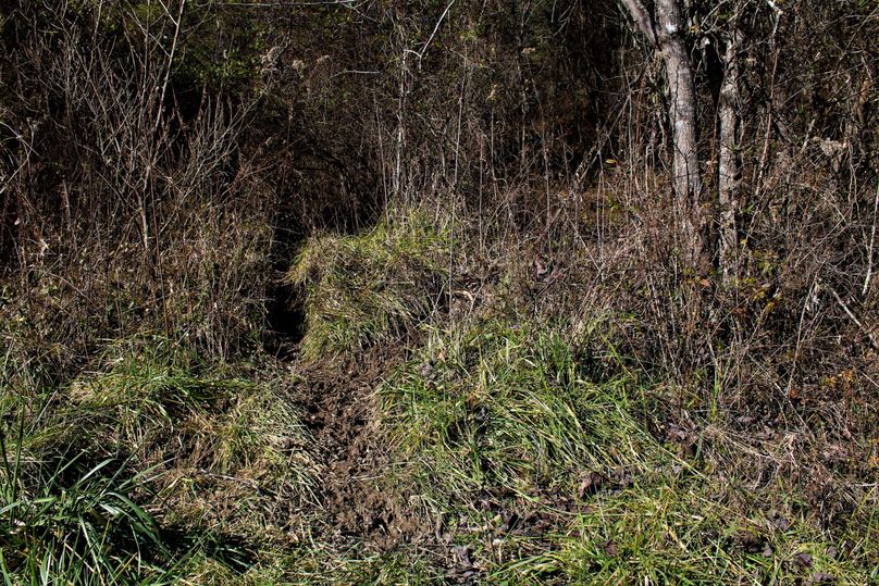 017 heavily traveled deer trail leading into the valley fields