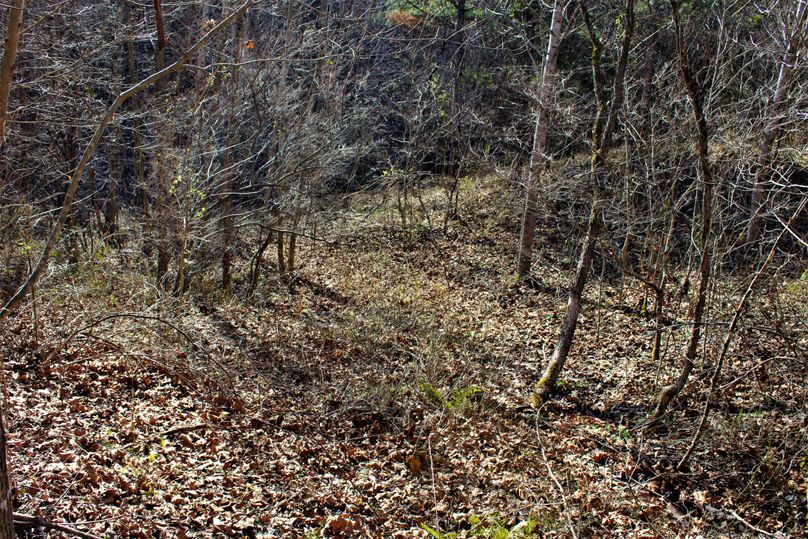 015 thick bedding cover