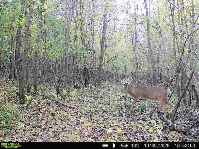 860516067504427-70-2-10302025165204-V-W1002399