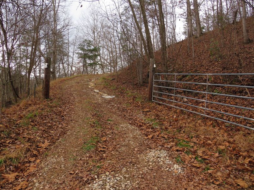 Gated road on property