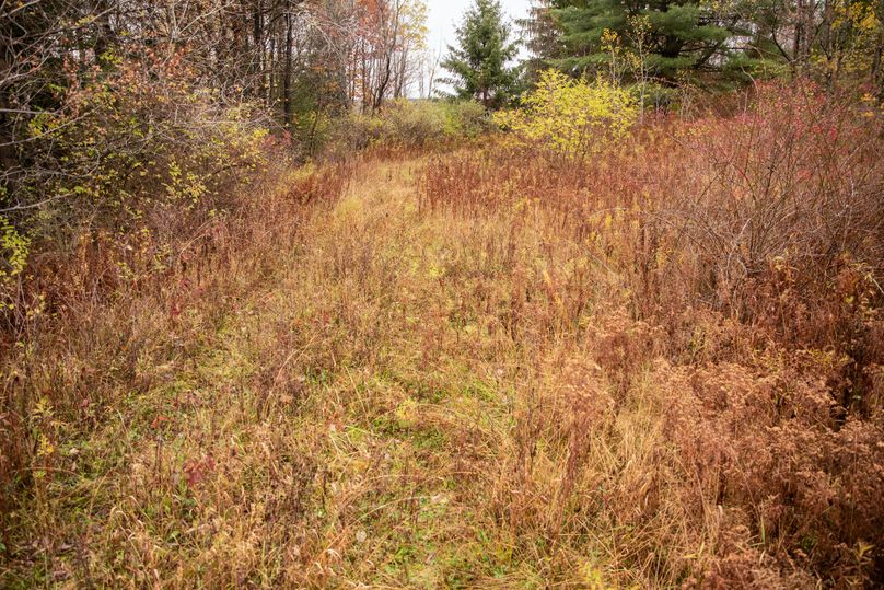 VGF5bG9yIGNoZW11bmcgNTguMjAgMTQ=