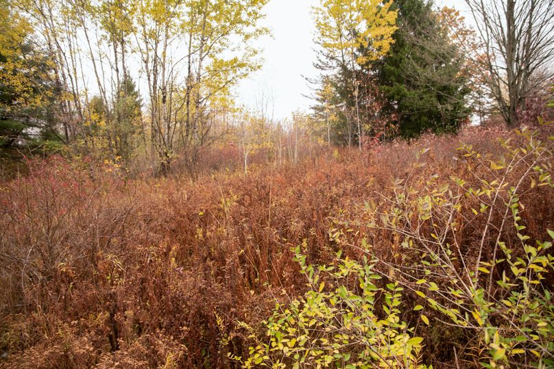 VGF5bG9yIGNoZW11bmcgNTguMjAgMTU=