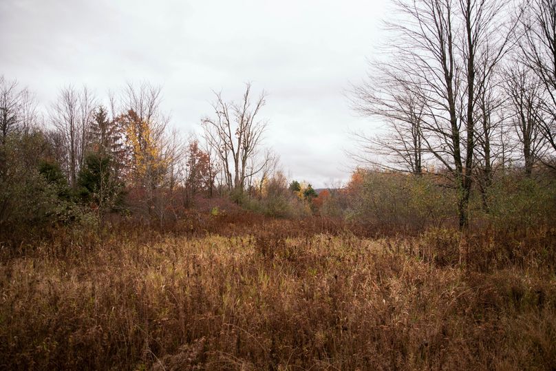 VGF5bG9yIGNoZW11bmcgNTguMjAgMTY=