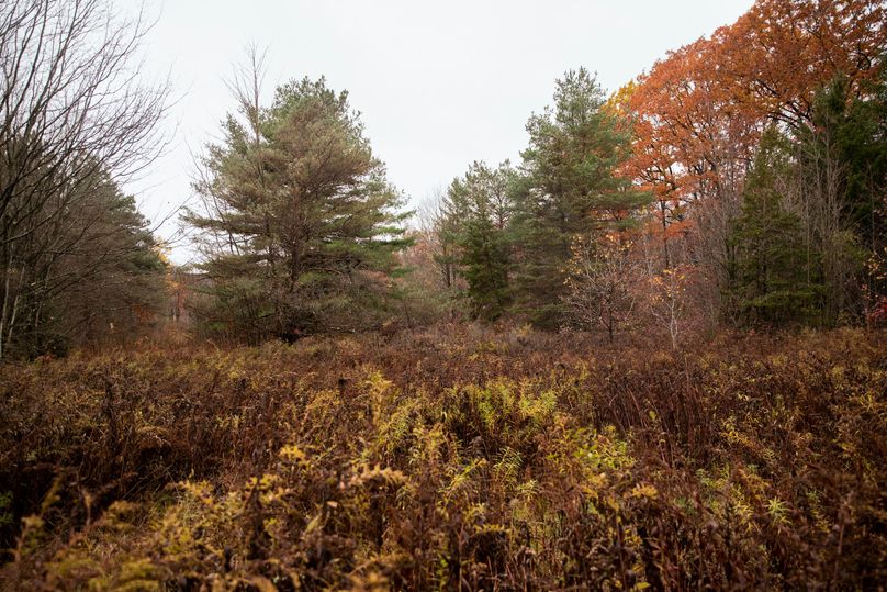 VGF5bG9yIGNoZW11bmcgNTguMjAgMTc=