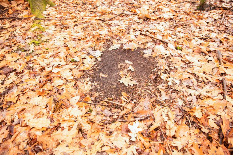 VGF5bG9yIGNoZW11bmcgNTguMjAgMTg=