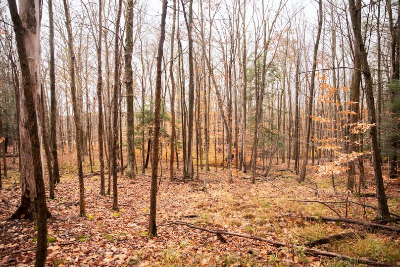 VGF5bG9yIGNoZW11bmcgNTguMjAgMTk=