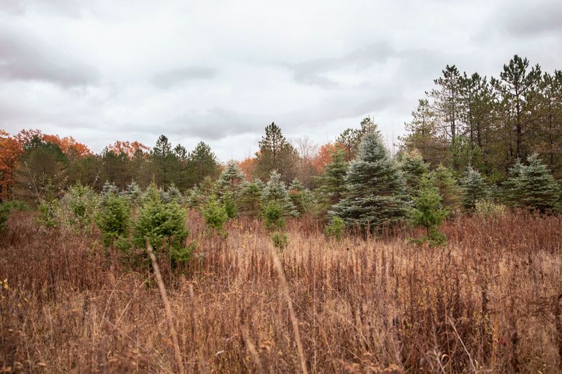 VGF5bG9yIGNoZW11bmcgNTguMjAgMQ==