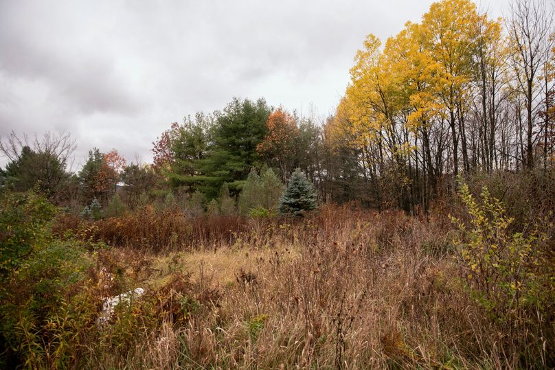 VGF5bG9yIGNoZW11bmcgNTguMjAgMTM=